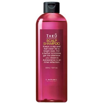 Шампунь для волосся LEBEL Theo Scalp Shampoo 108500 фото