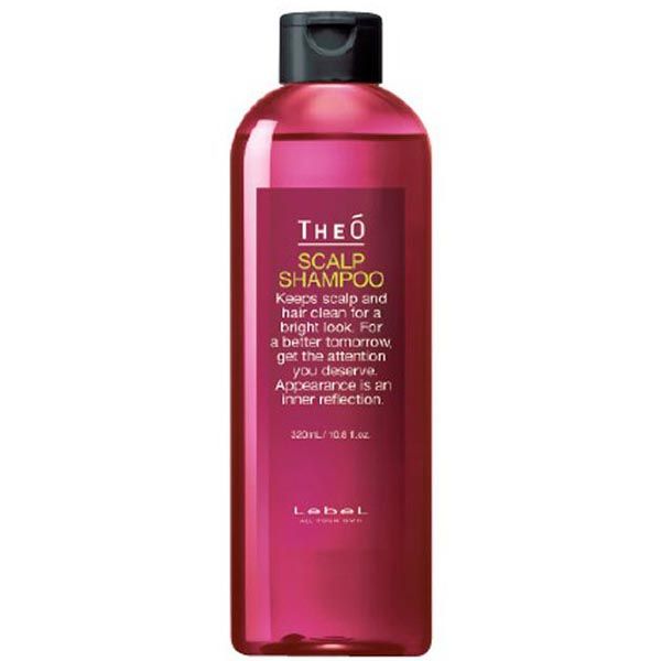 Шампунь для волосся LEBEL Theo Scalp Shampoo 108500 фото