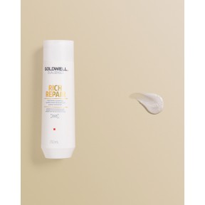 Шампунь для восстановления сухих и поврежденных волос Goldwell Dualsenses Rich Repair